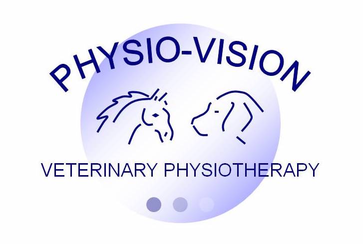Physio-Vision logo image